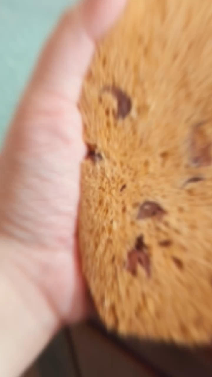 红糖发糕（手揉版）