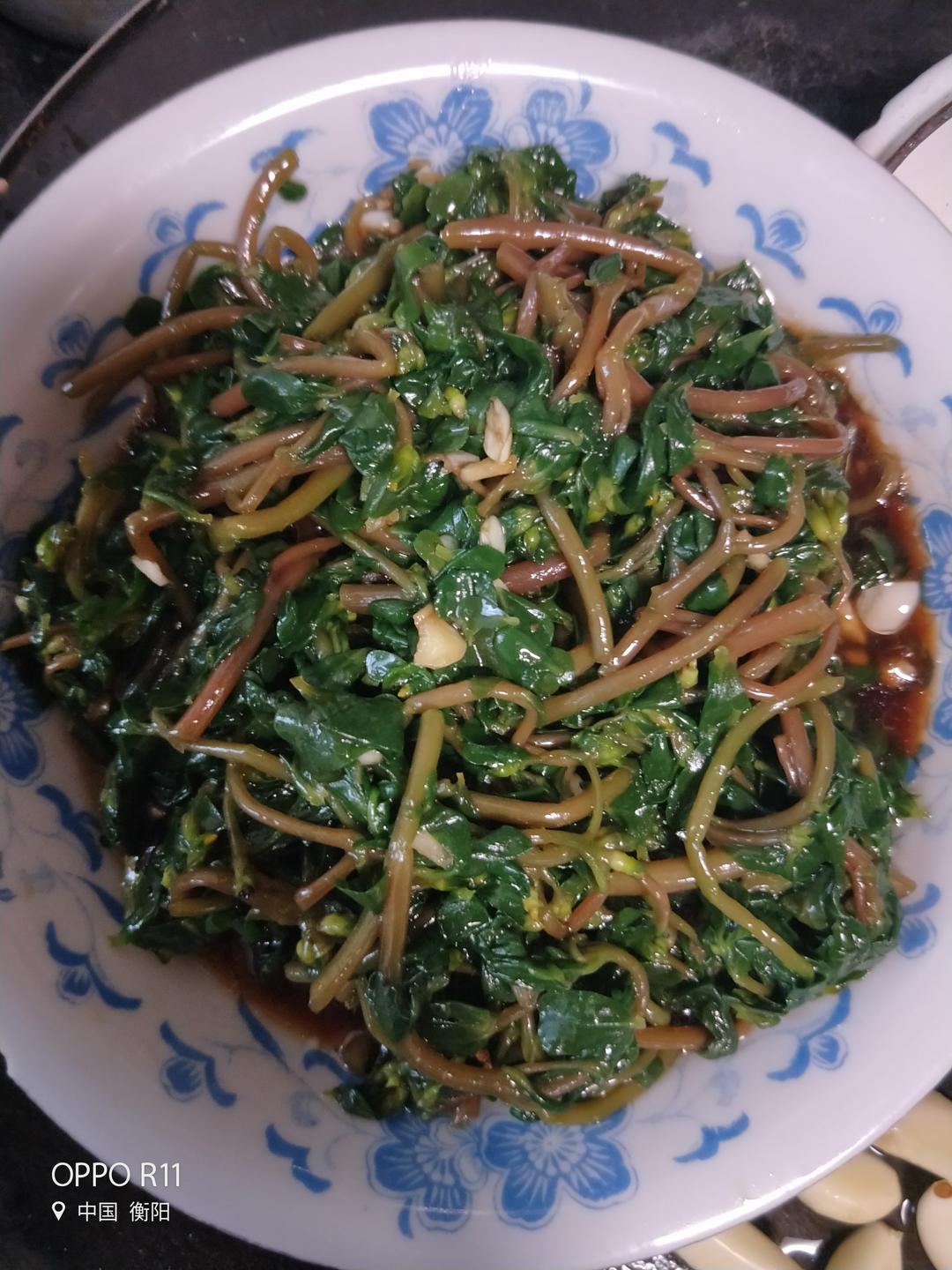 凉拌马马菜（凉拌马齿苋）