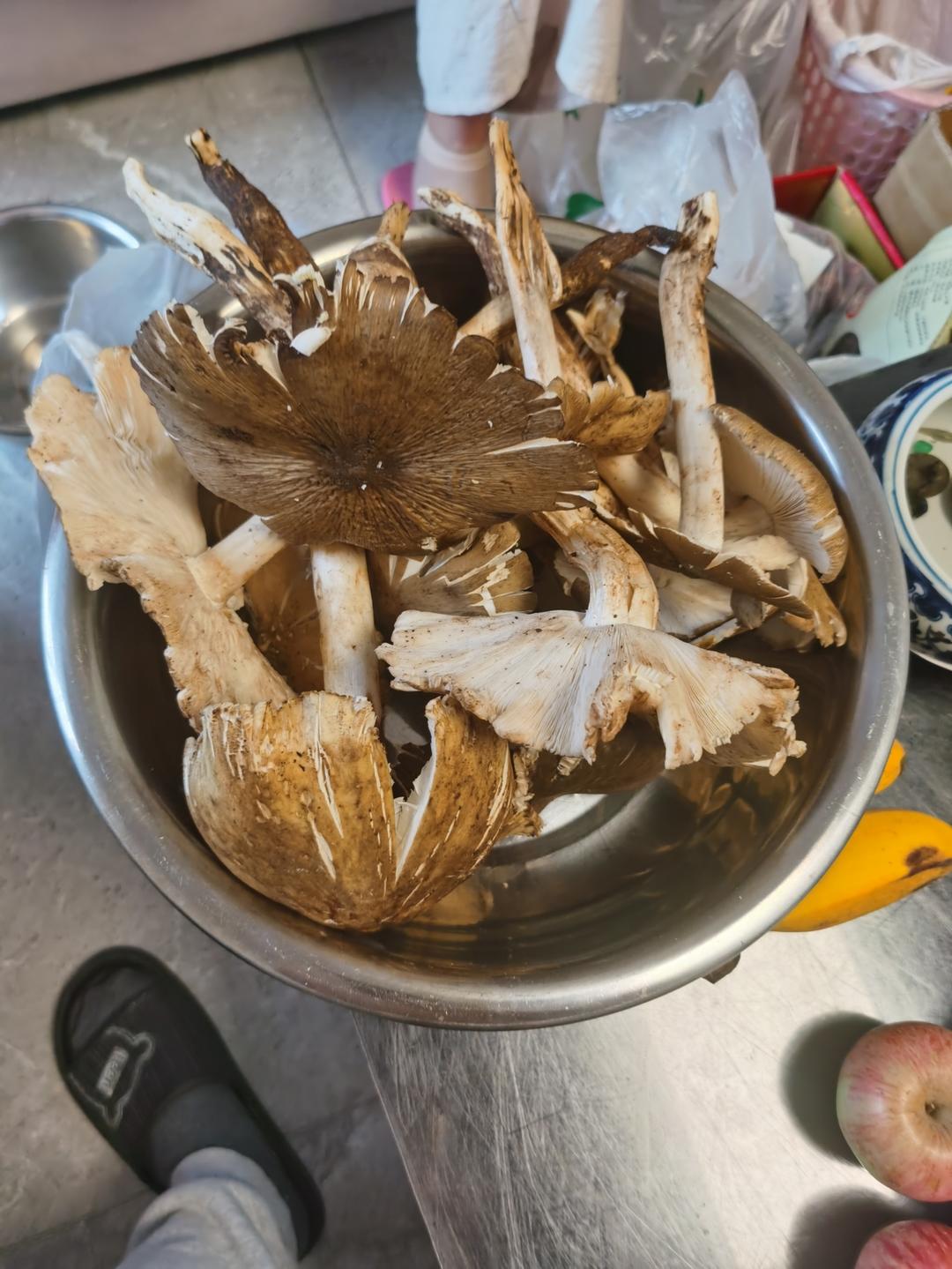 云南油炸鸡枞菌