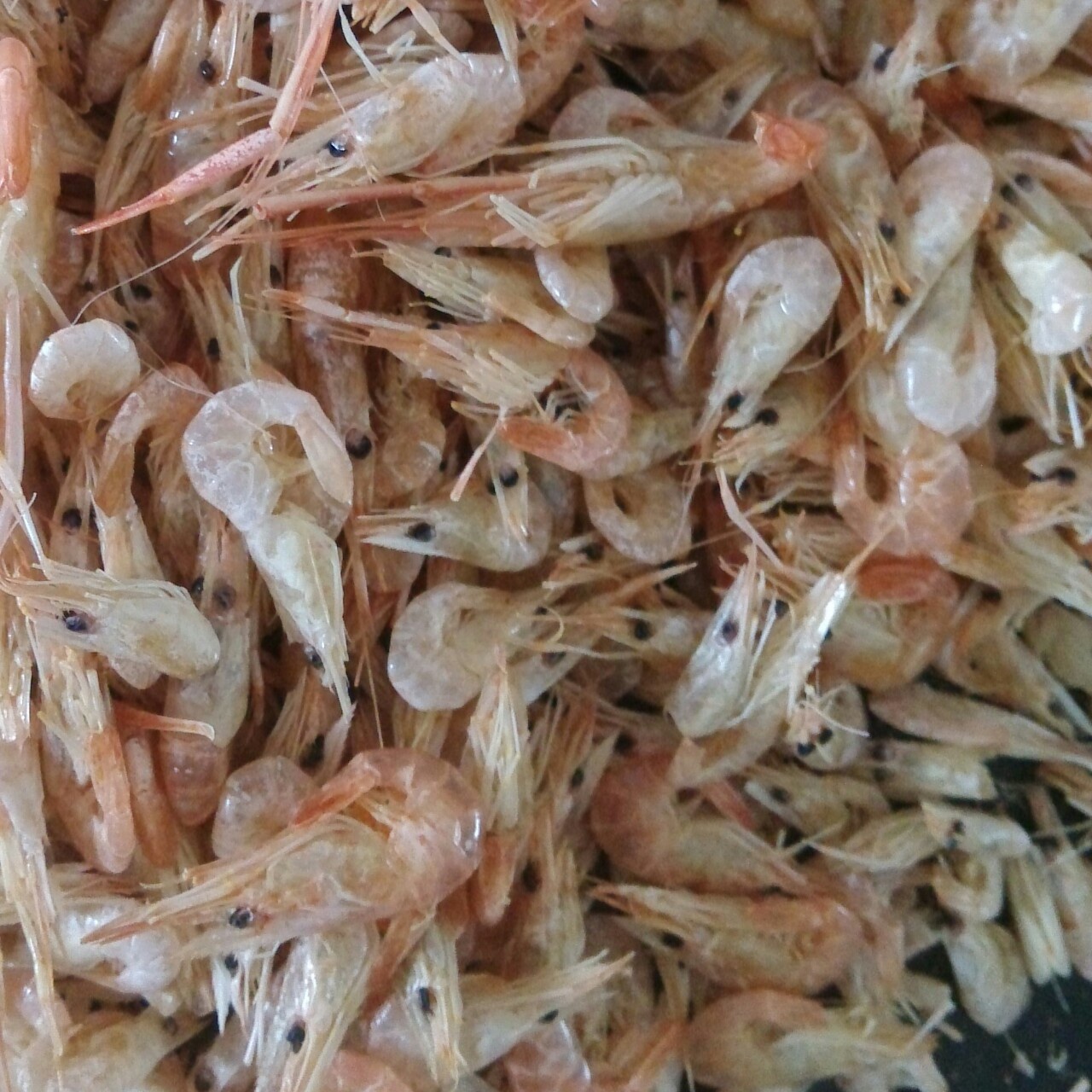 咸香烤小河虾(美味小食)