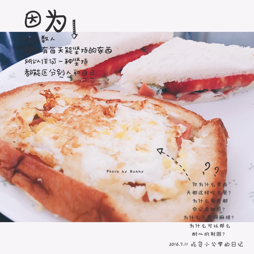 一片面包的三明治