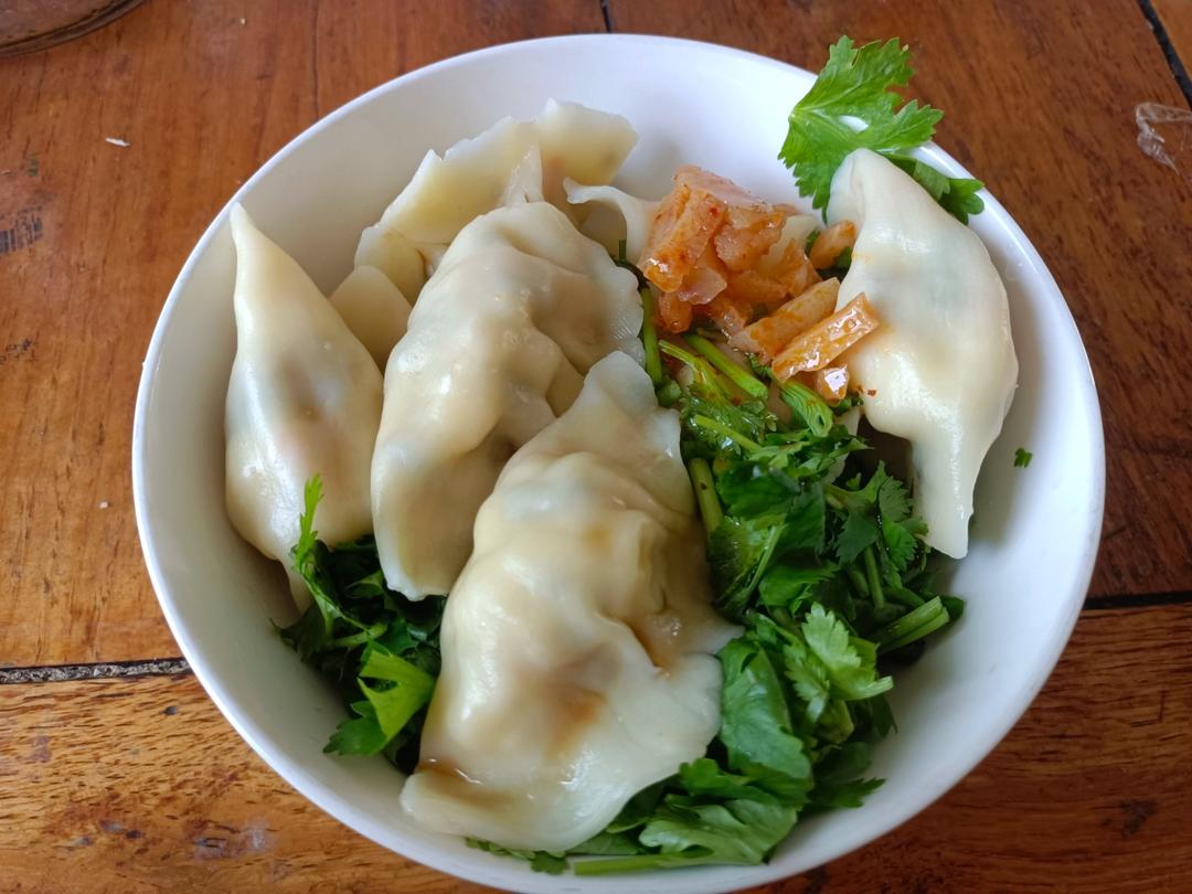素饺子的极致美味 西葫芦鸡蛋饺子