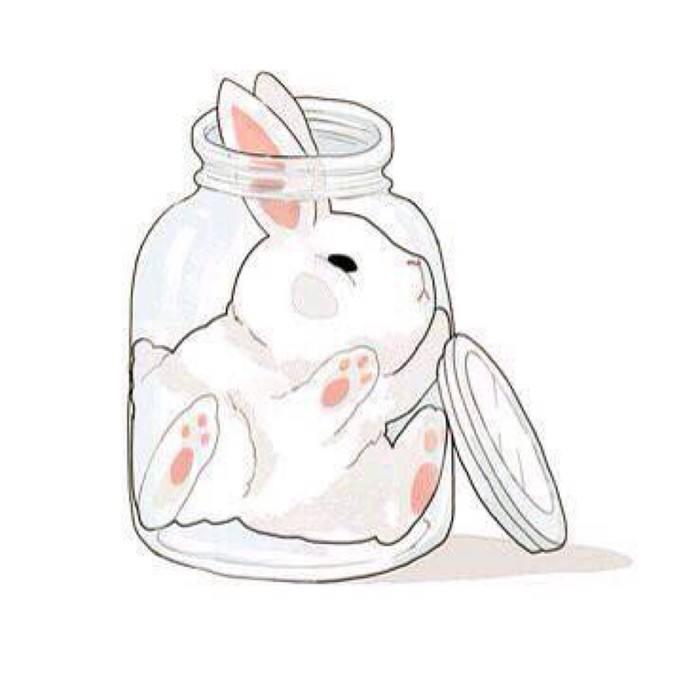 Rabbit小可爱