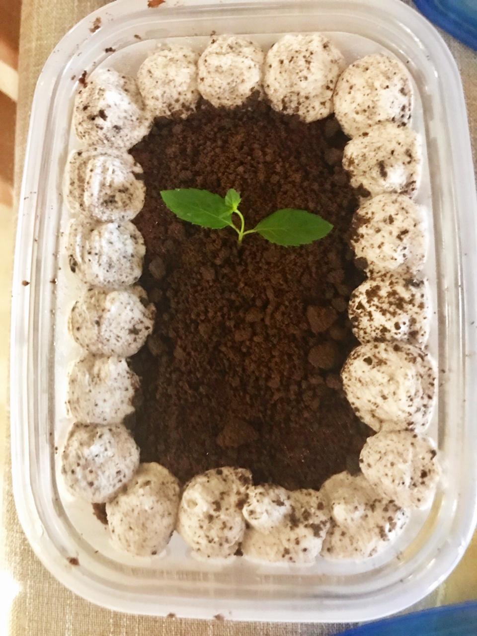 好吃到流泪的奥利奥咸奶油盒子蛋糕