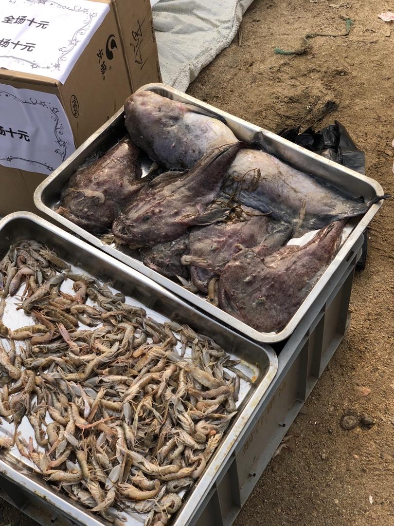 记录我做过的海鲜们