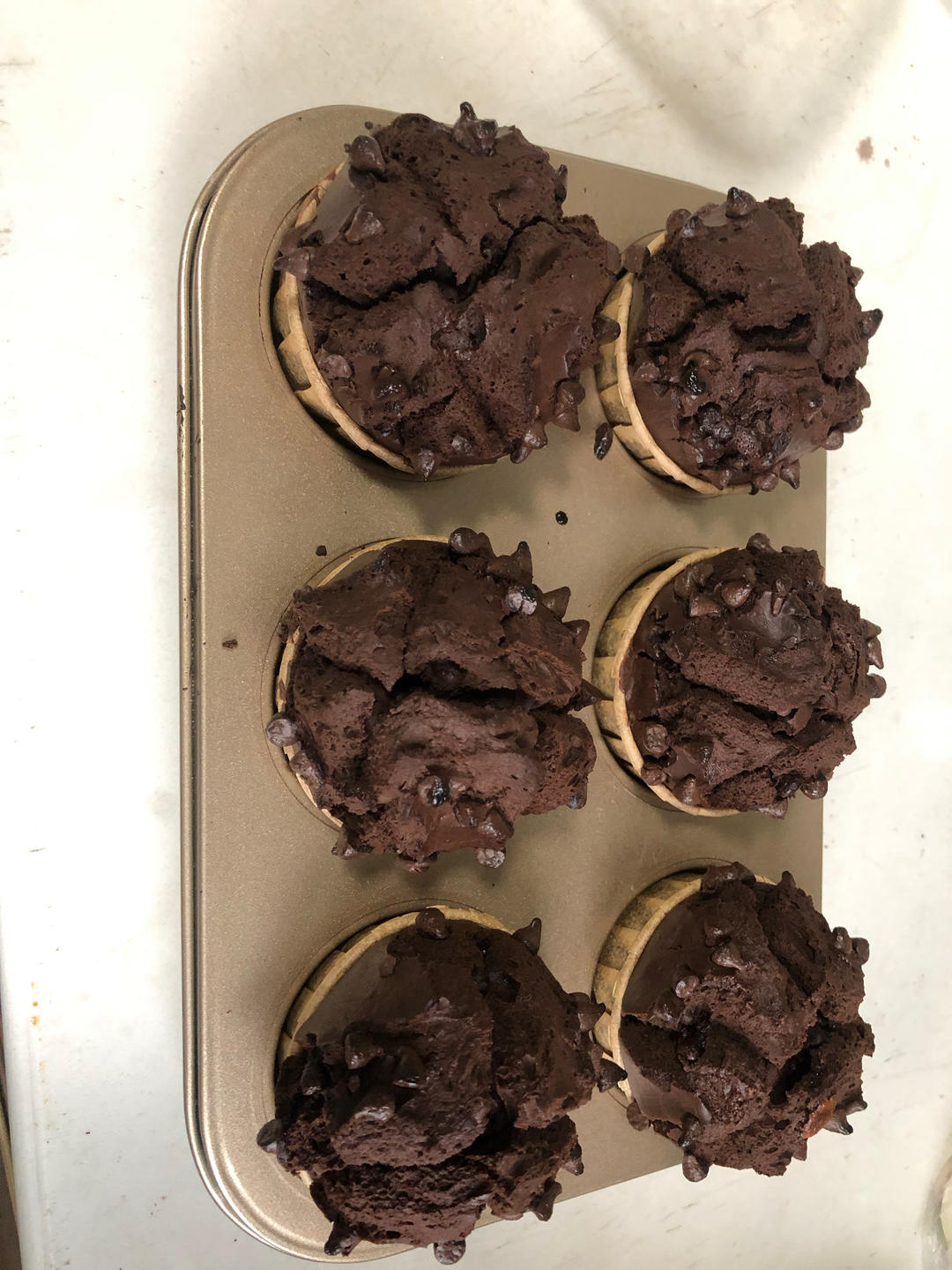 【巧克力蘑菇头麦芬】星巴克同款