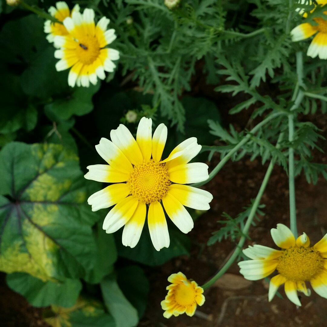 手机用户5005_z281