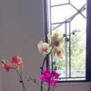 手机用户2701_yuzl