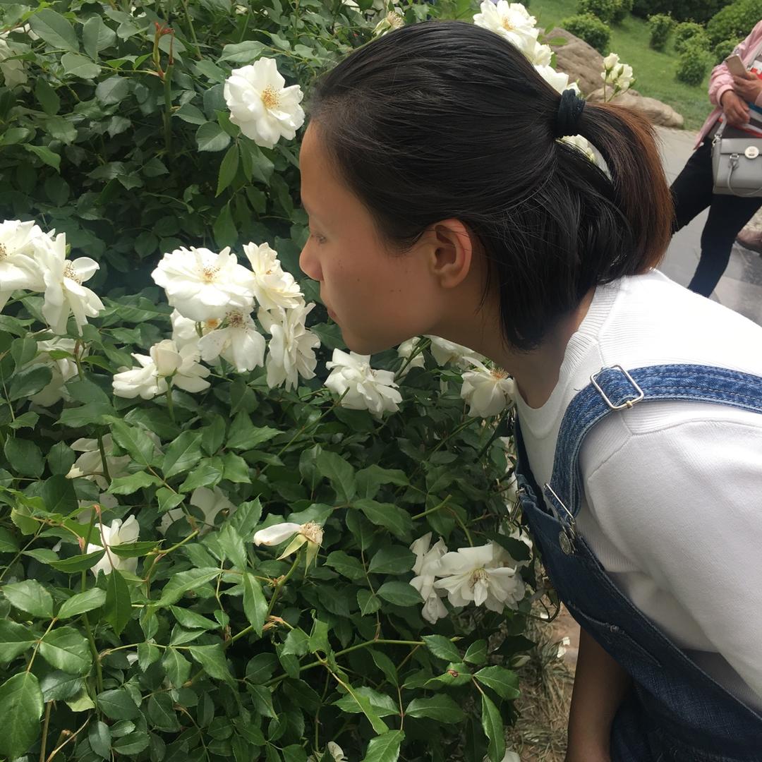 徐晓晓的小日子