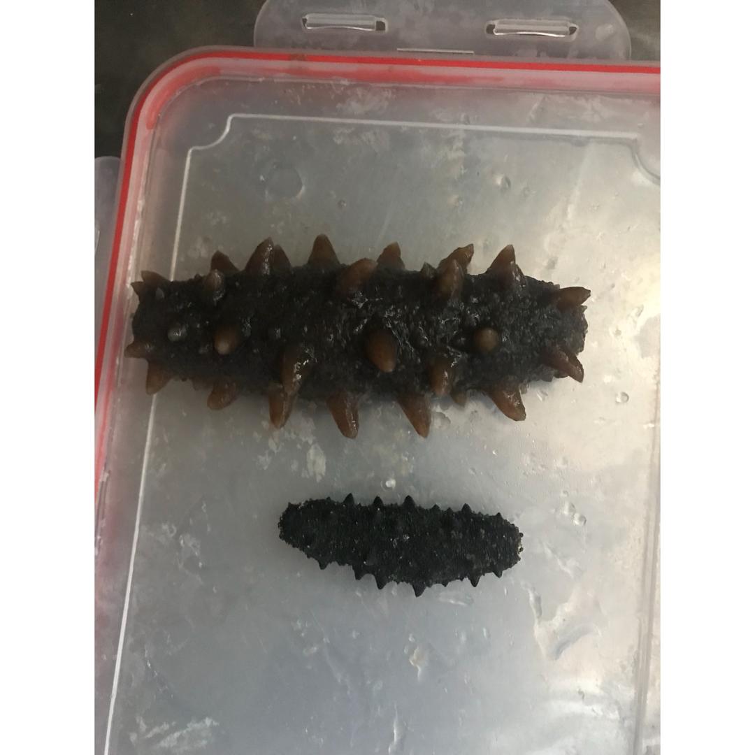 海参泡发攻略