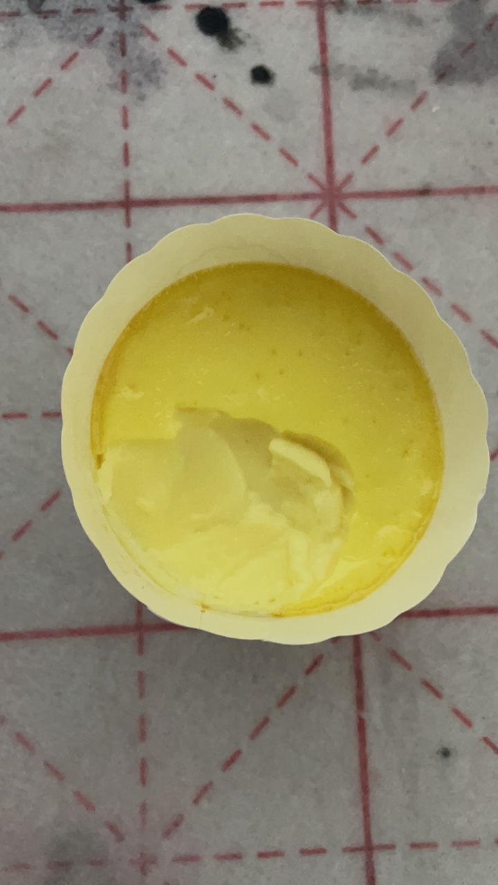 法式焦糖烤布蕾（布丁）