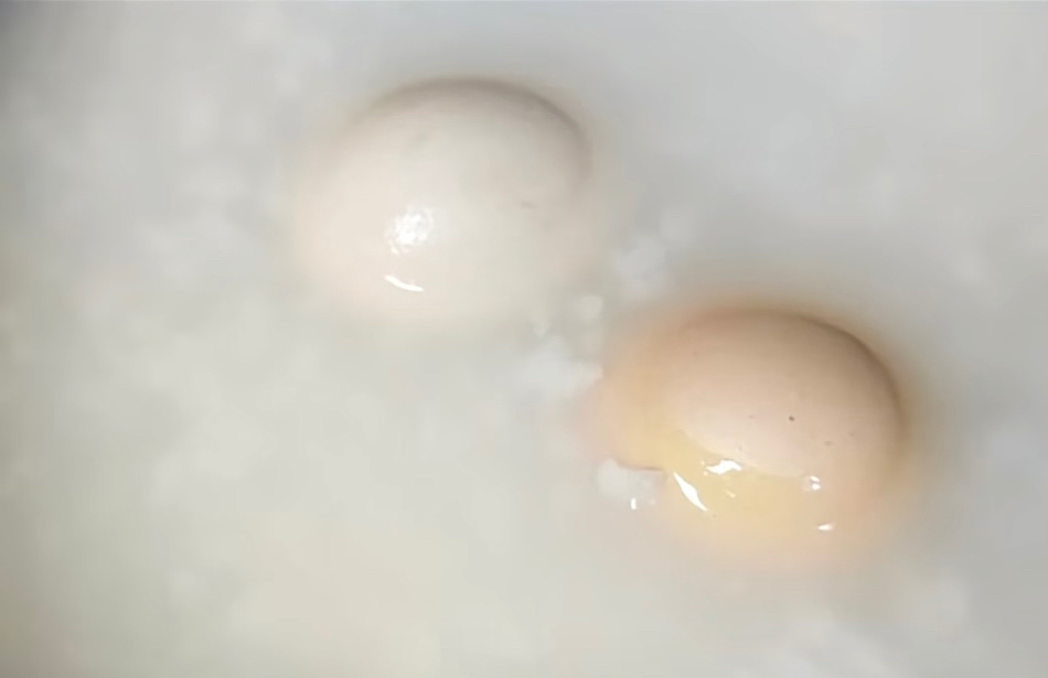 米粥煮蛋 补中益气的做法