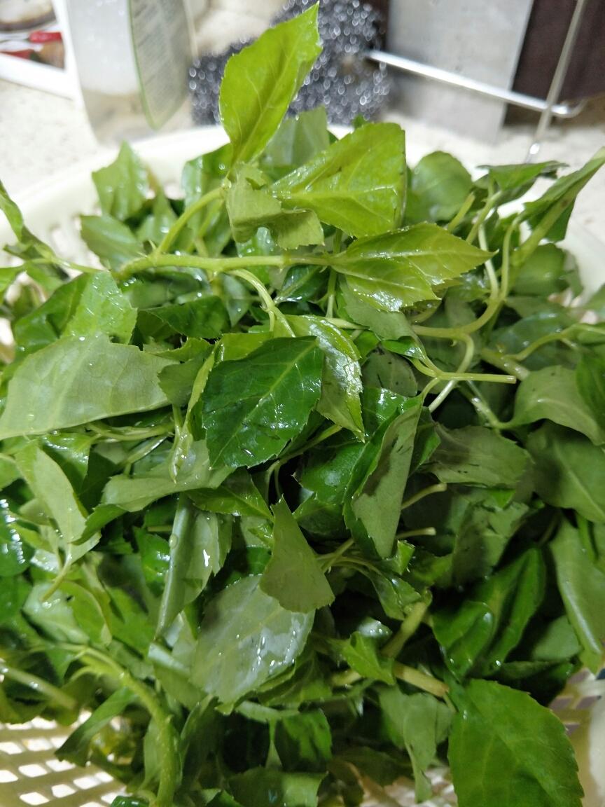 翠春的勒菜糕的做法