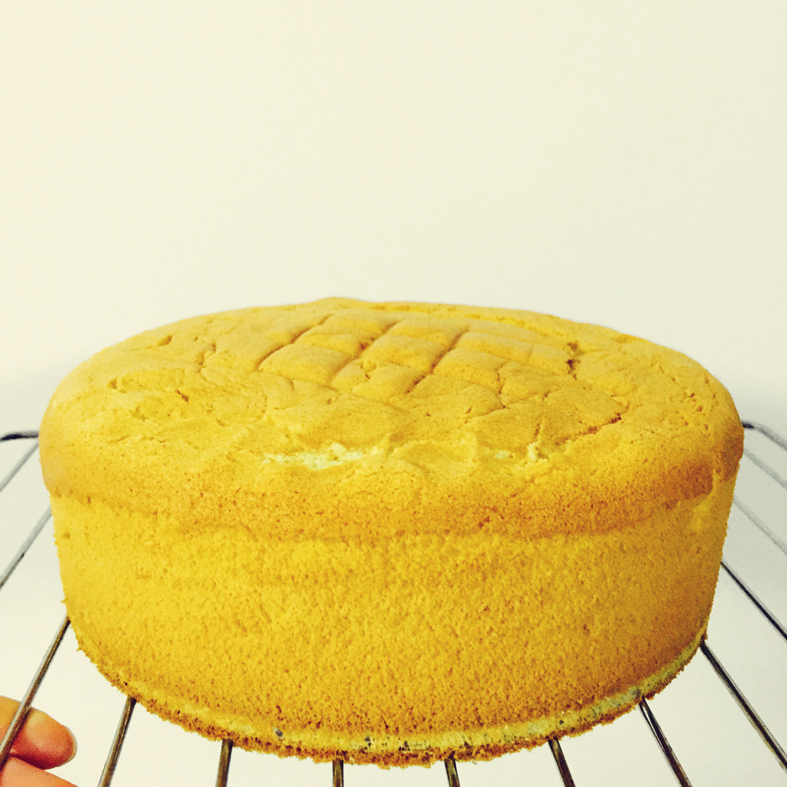 《Tinrry+》戚风蛋糕（6寸配方）（基础、超详细教程）