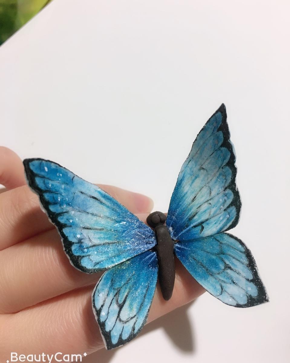 糖纸蝴蝶的全部作品