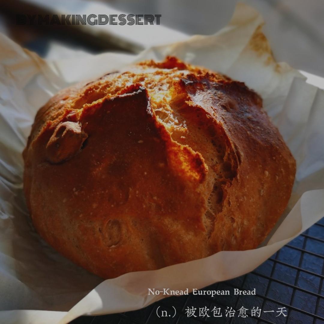外脆内软不用揉面的乡村面包