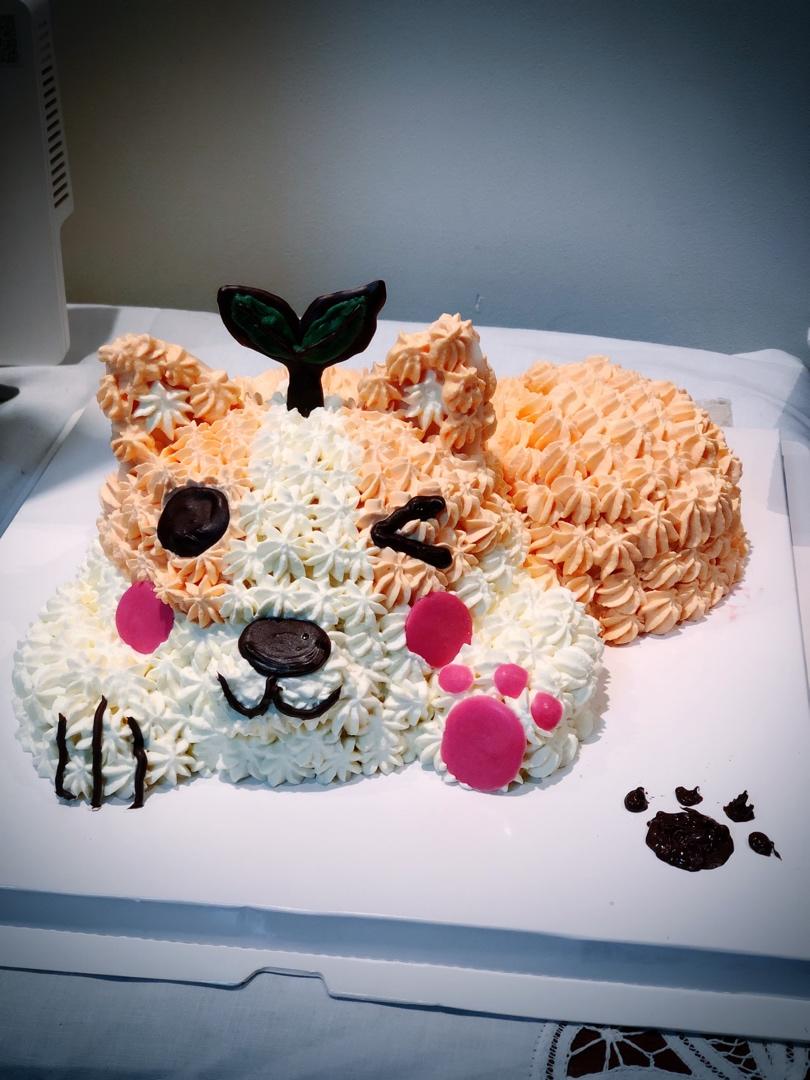 立体柯基狗狗蛋糕