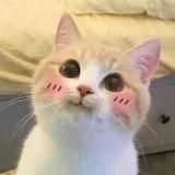 李二岑