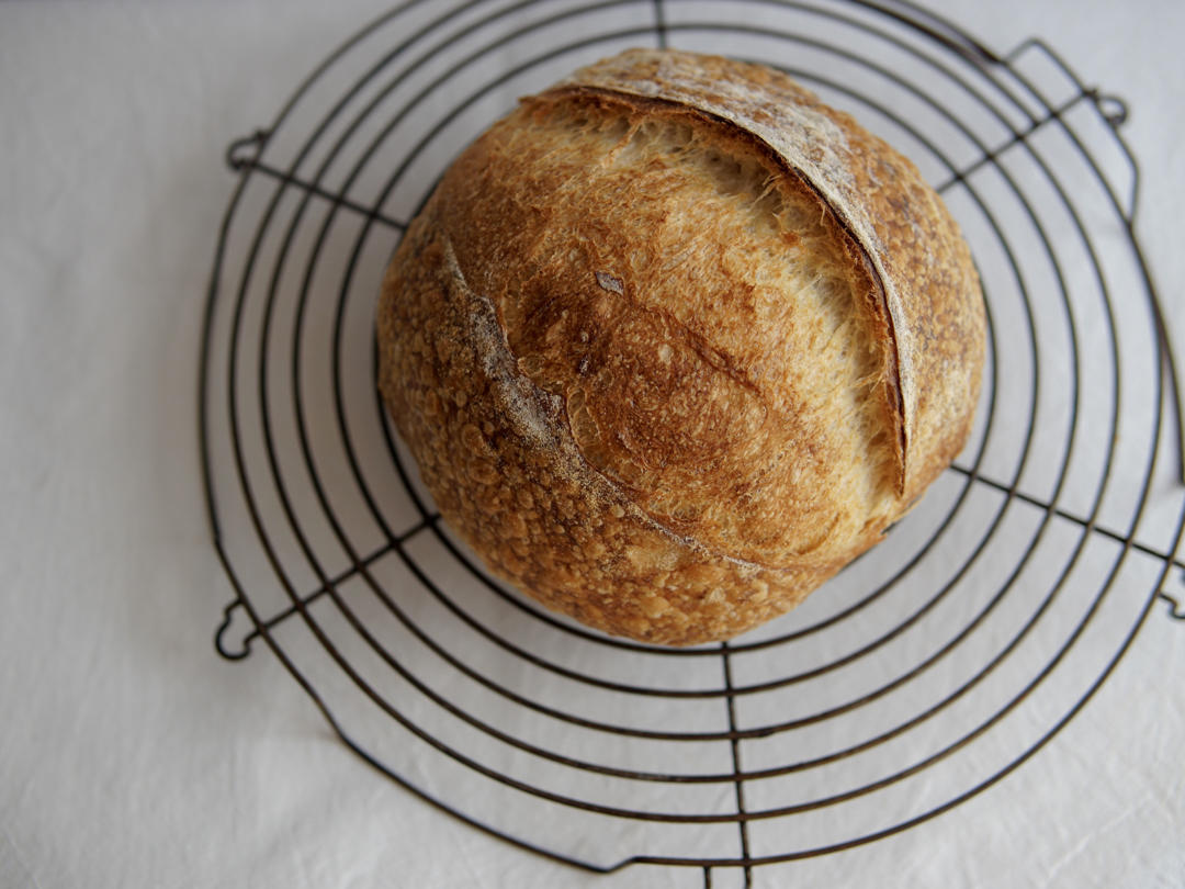 天然酵种乡村欧包/鲁邦种