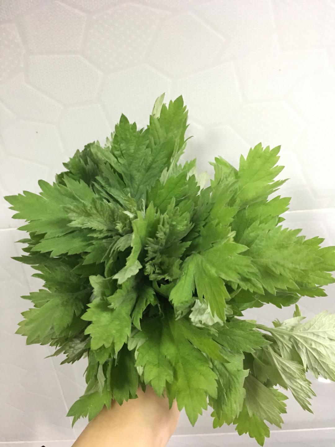 自制蛋黄肉松青团的做法