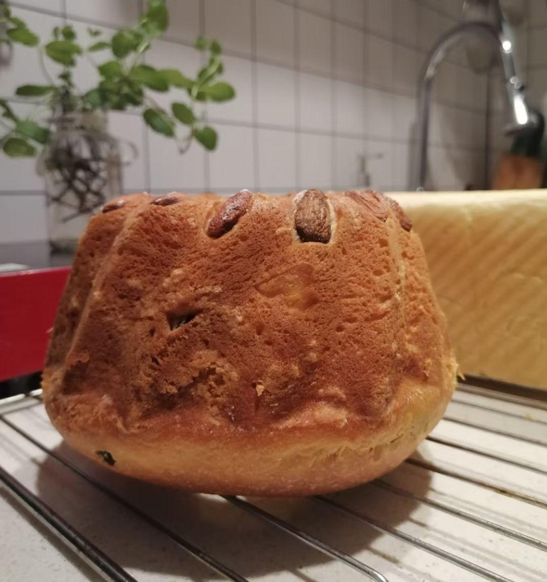 咕咕洛夫（Kouglof）(原方蓝带学院，已改进)圣诞节必吃经典