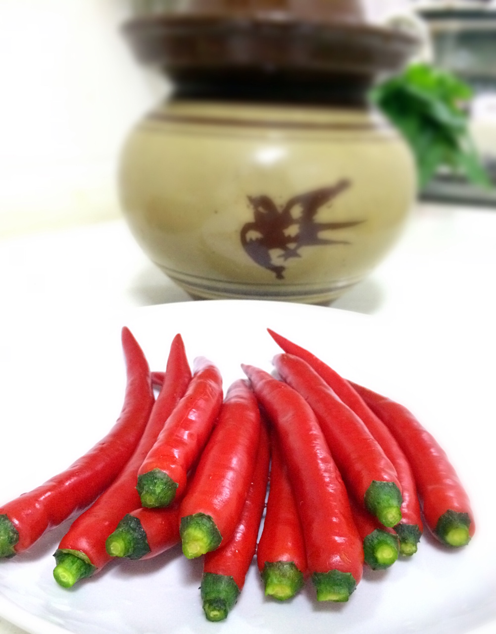 四川泡菜之红海椒