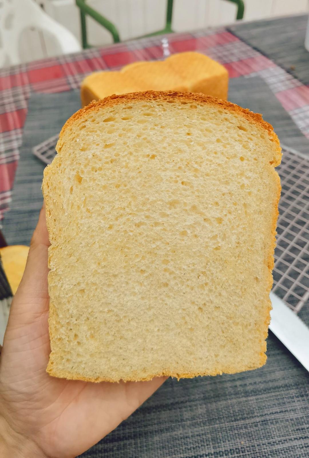 椰子油全麦（50%全麦）吐司