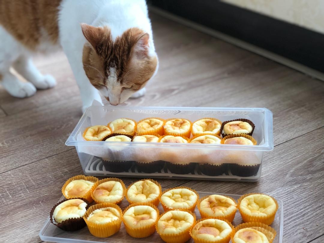 kiri奶油芝士食谱-半熟芝士蛋糕