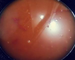 连汤汁都不放过的番茄开胃烤鱼的做法 步骤6