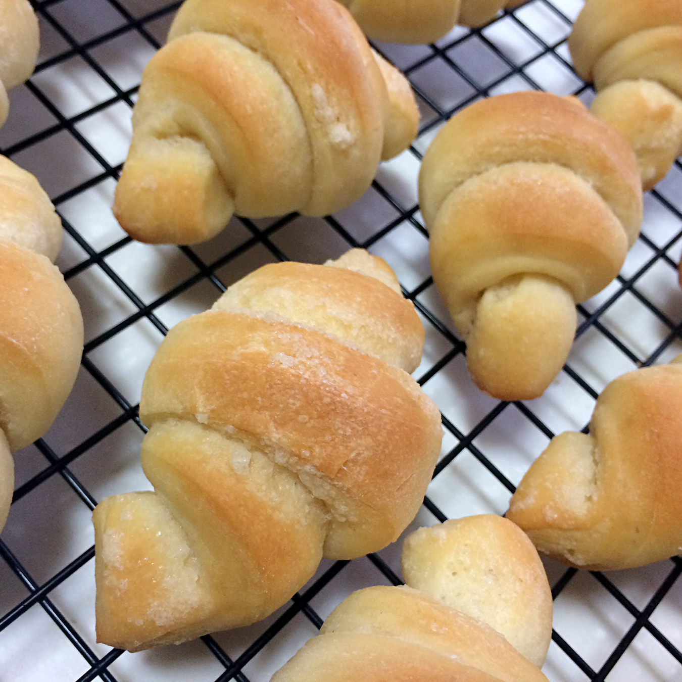 老式油酥面包 Yusu Bread
