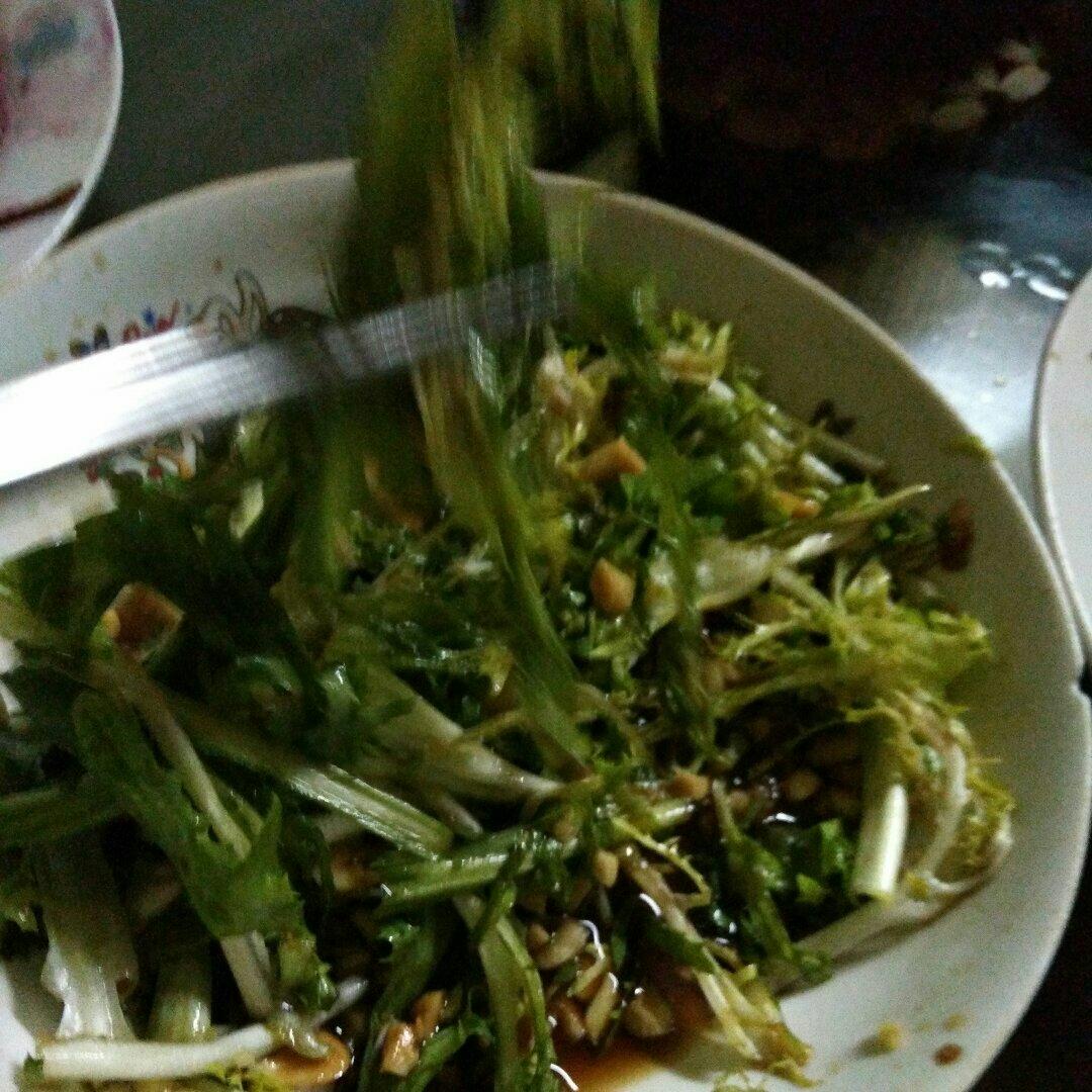 凉拌苦菊