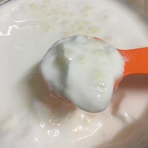 如何发酵稳定浓稠的雪莲菌开菲尔酸奶（嫩豆腐状）的做法 步骤5