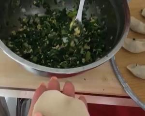 荠荠菜饺子的做法 步骤7
