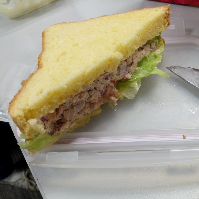 金枪鱼三明治