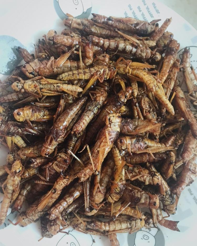 布丁果果1110做的炸蚂蚱