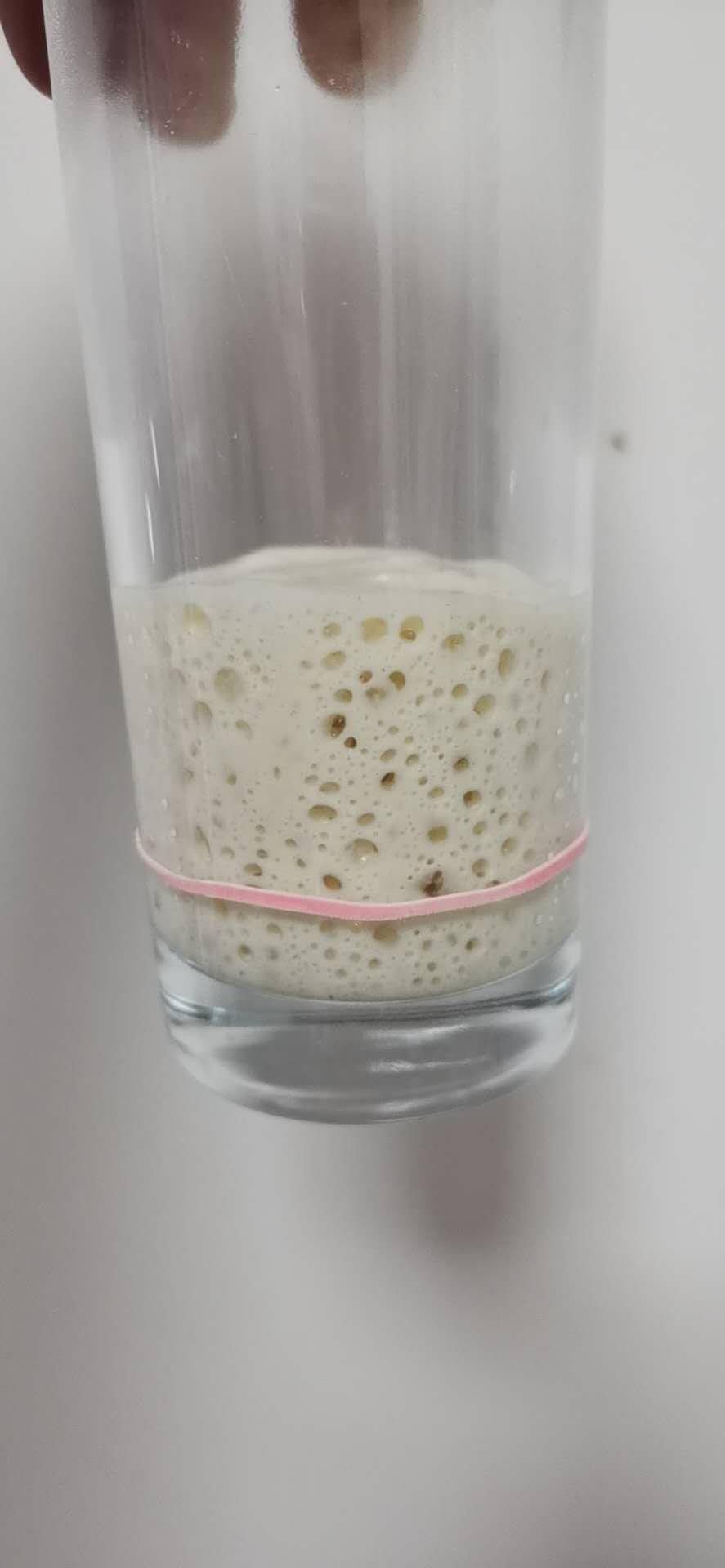 天然酵种、鲁邦种         （黑裸麦起种）