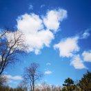 手机用户1197_juwk