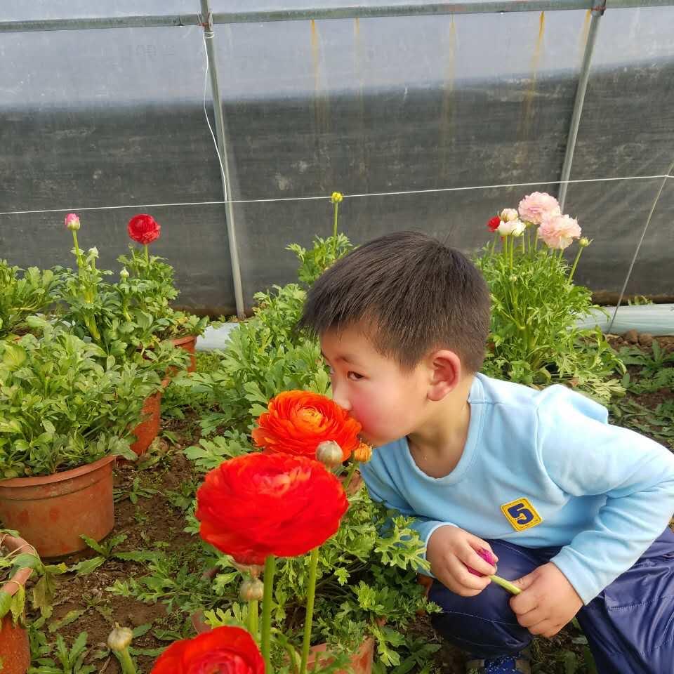 蝴蝶飞哪儿去啦