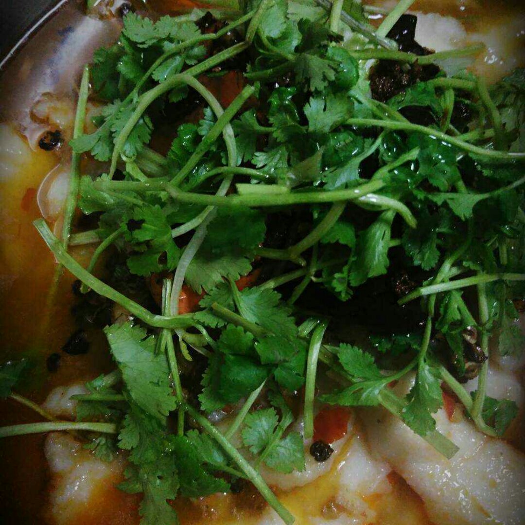 豆花鱼