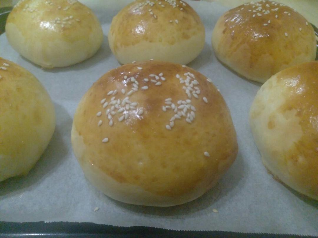 汉堡胚（中种法）