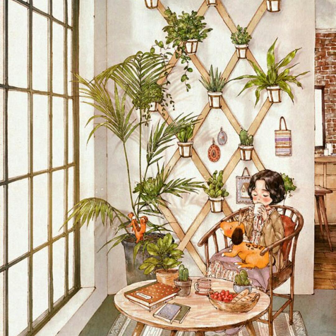 oo橘子