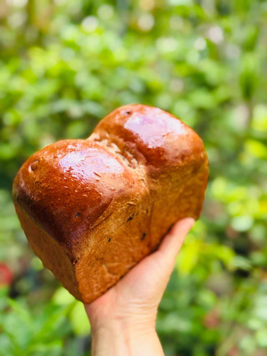 波兰种巧克力吐司