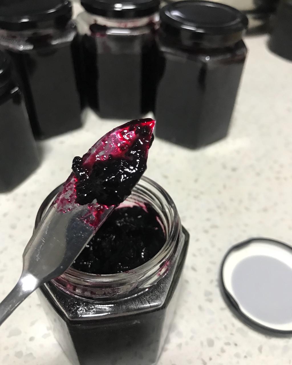 宝宝辅食食谱 自制蓝莓酱