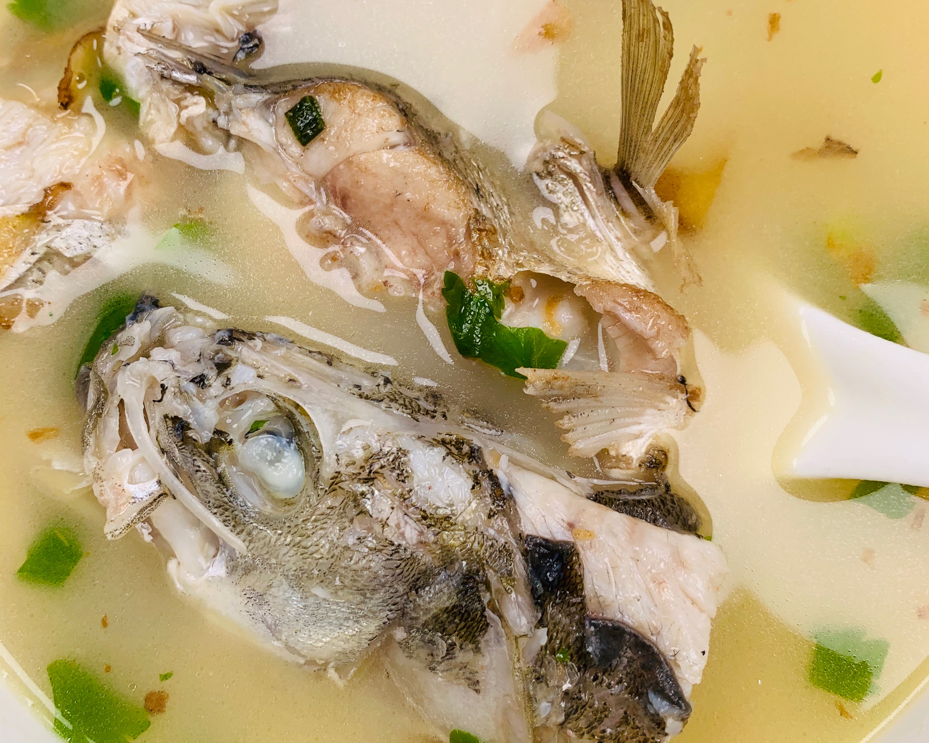 高优质蛋白鲜美鲈鱼汤的做法