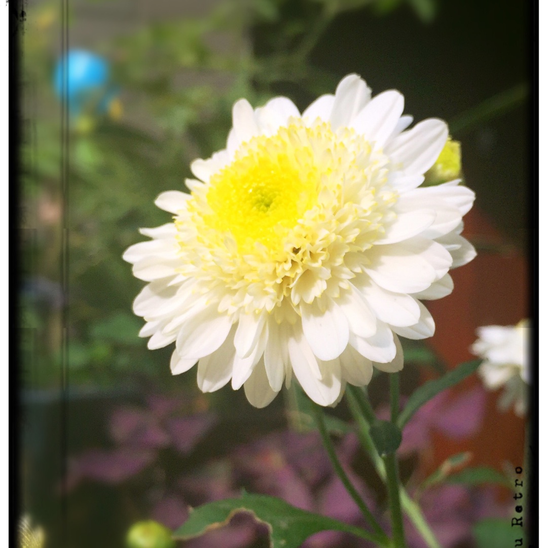 怪怪蛋的臭脾气的厨房