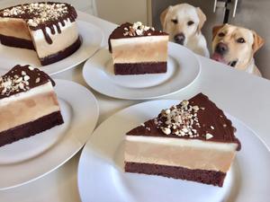 巧克力咖啡香草慕斯蛋糕🌿甜蜜的三重暴击🌿的做法 步骤28