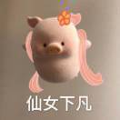 帅帅的小可爱