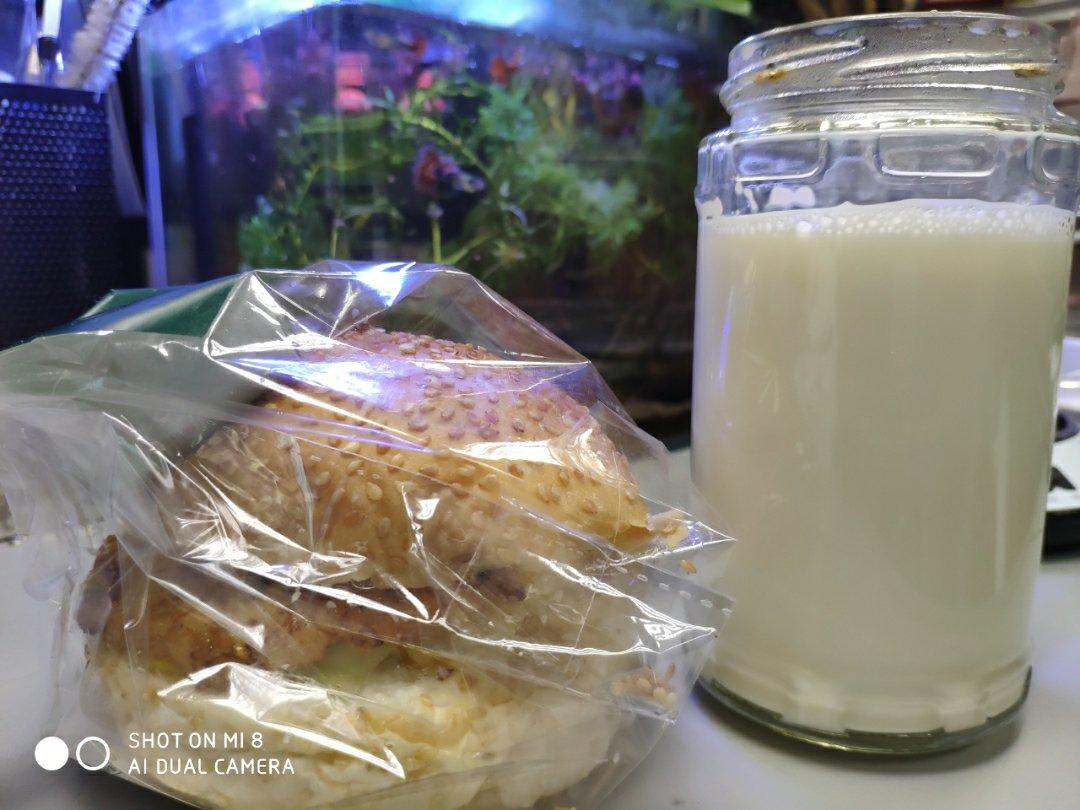 自制营养肉饼汉堡包