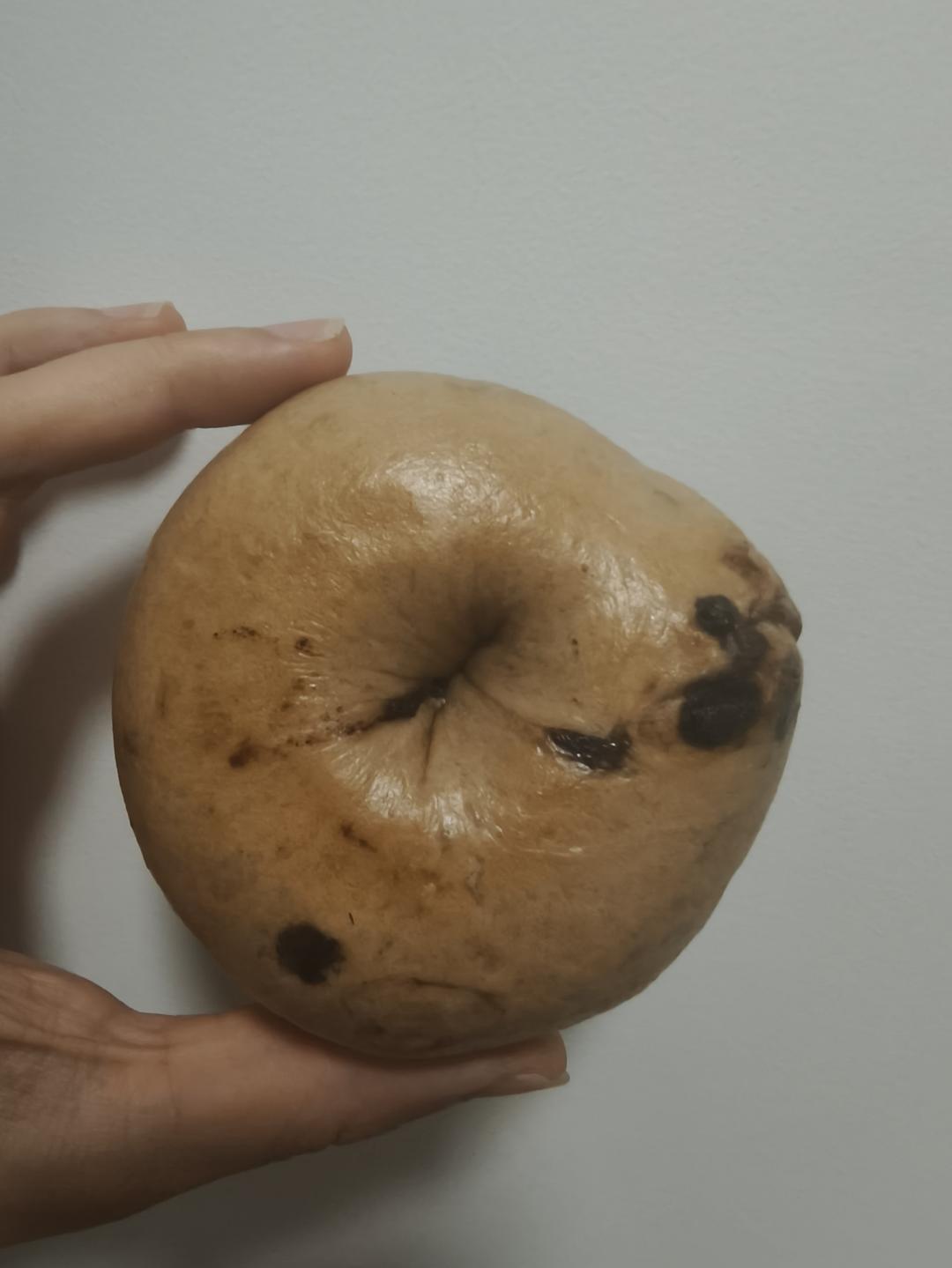 可可巧克力贝果（无糖油）