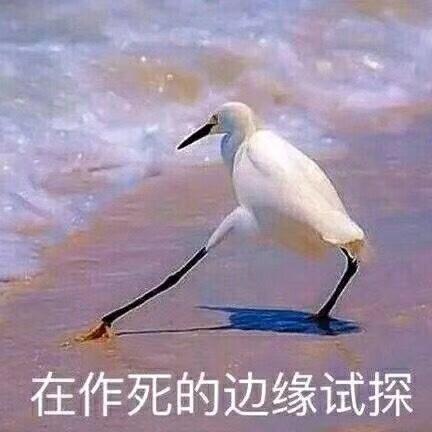 陈大厨2018